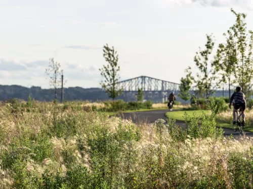biker on bike path