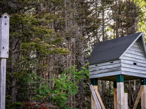 bat box