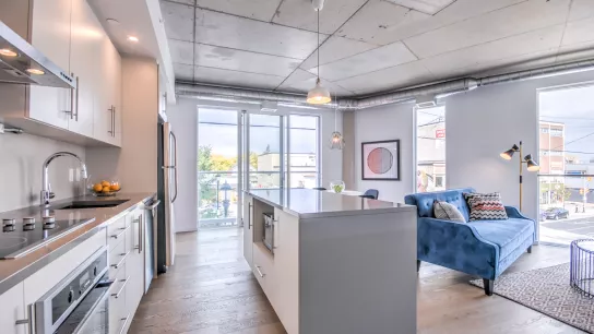 kitchen and living area