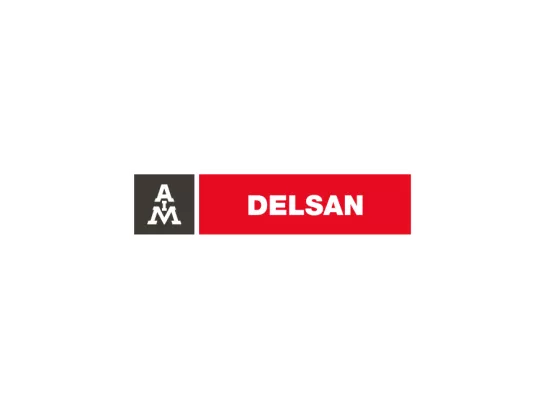 logo for Delsan