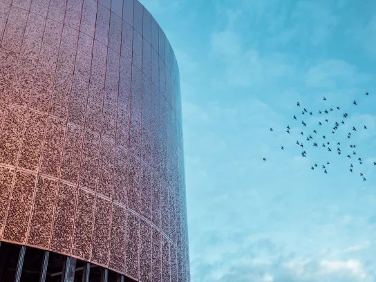Building and sky with birds