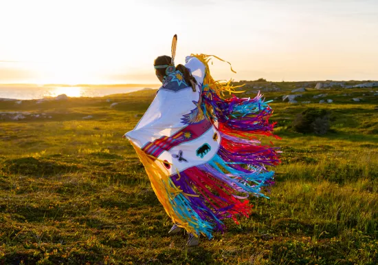 NAIG Pomerleau Sponsorship