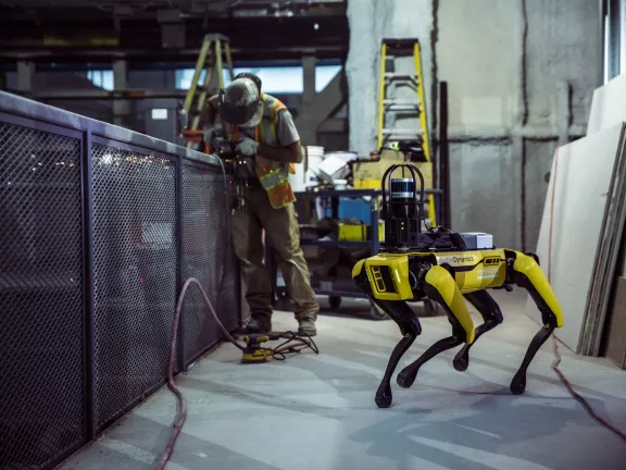 robot chien