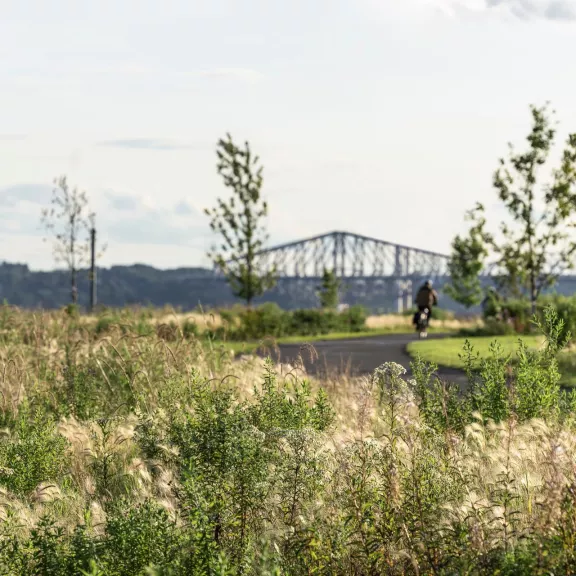 biker on bike path