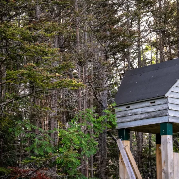 bat box