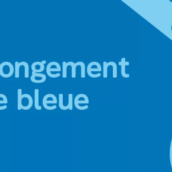 Ligne bleue