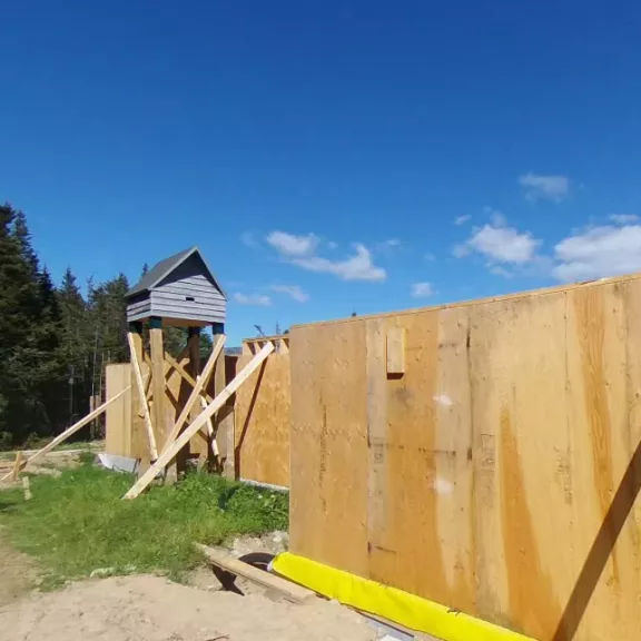 Bat Roosting Condo
